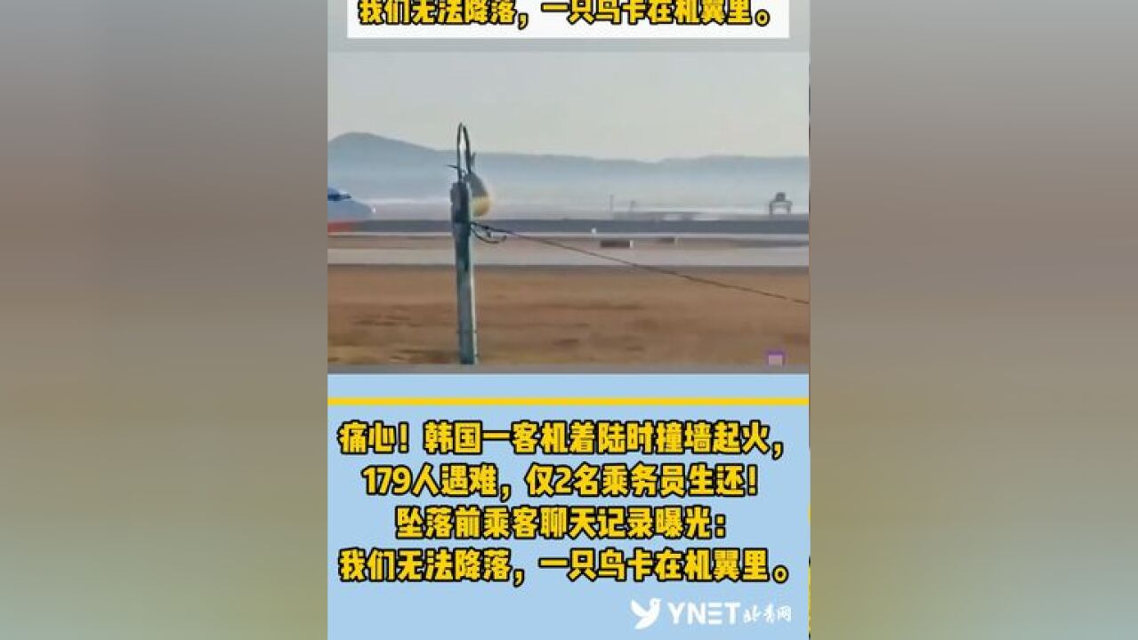 痛心!韩国一客机着陆时撞墙起火,179人遇难,仅2名乘务员生还! 坠落前乘客聊天记录曝光:我们无法降落,一只鸟卡在机翼里