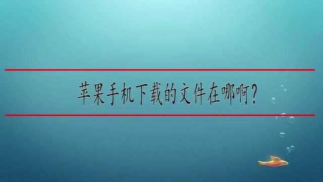 苹果手机下载的文件在哪啊?