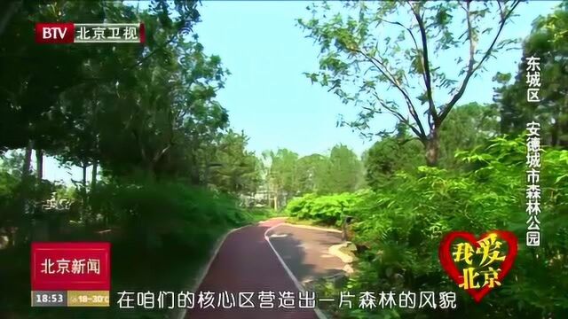 我爱北京:东城区 安德城市森林公园