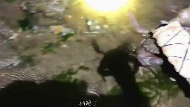 这个红爪螃蟹个头都很大“性格凶猛”看看小伙怎样抓的!