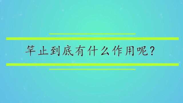 竿止到底有什么作用呢?