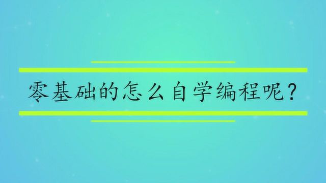 零基础的怎么自学编程呢?