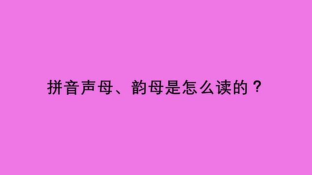 拼音声母、韵母是怎么读的?