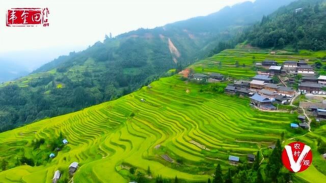 航拍梯田为祖国70年献礼——东朗镇梯田