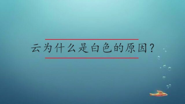 云为什么是白色的原因?