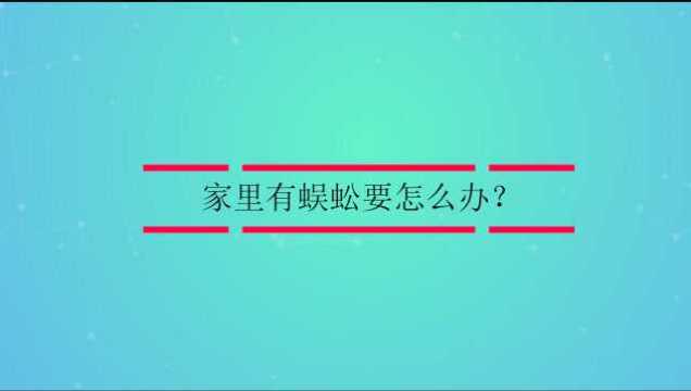 家里有蜈蚣要怎么办?