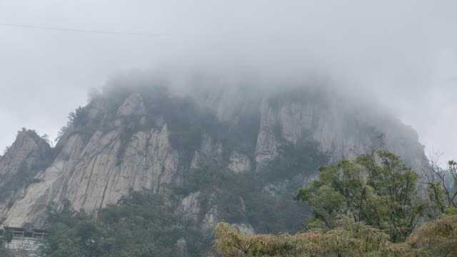 河南南阳二龙山下半部