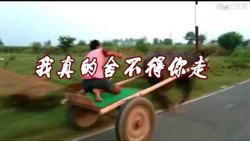 一首伤感情歌（我真的舍不得你走）一起来欣赏吧 - 腾讯视频
