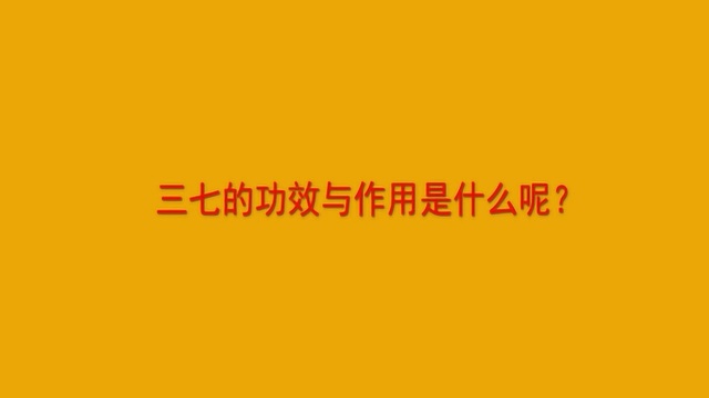 三七的功效与作用是什么呢?