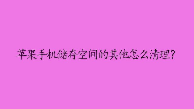 苹果手机储存空间的其他怎么清理?