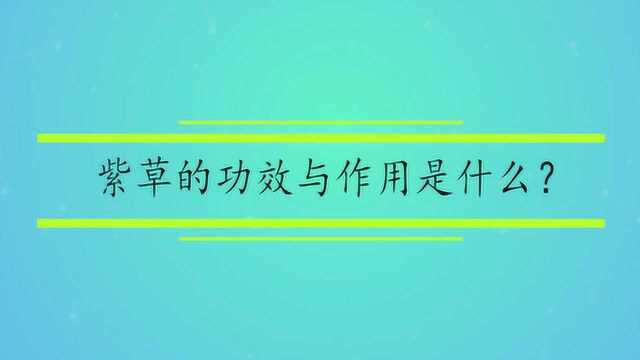 紫草的功效与作用是什么?