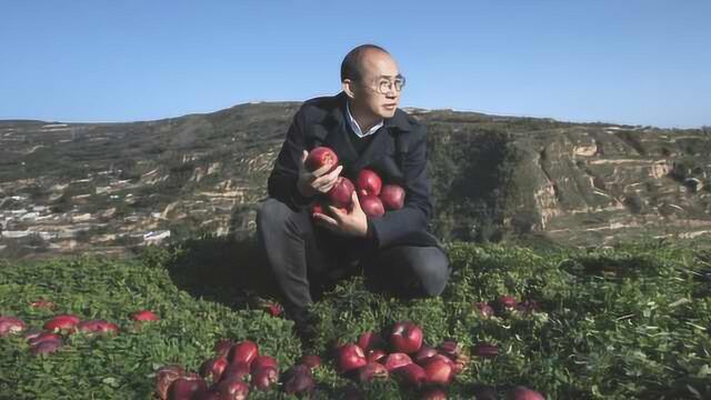 甘肃苹果丰收销售遇难,潘石屹帮老家带货,一口气买10万斤