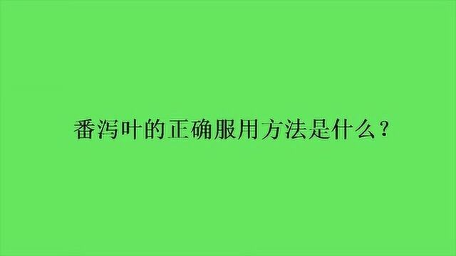 番泻叶的正确服用方法是什么?