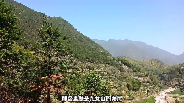 遂昌蔡源有条原生态峡谷,风光绝美还有点惊险,没门票!