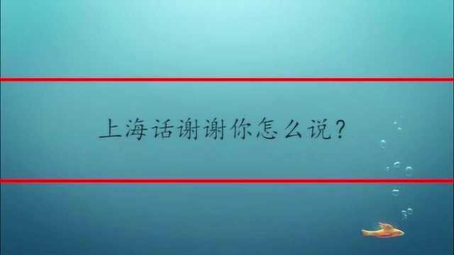 上海话谢谢你怎么说?