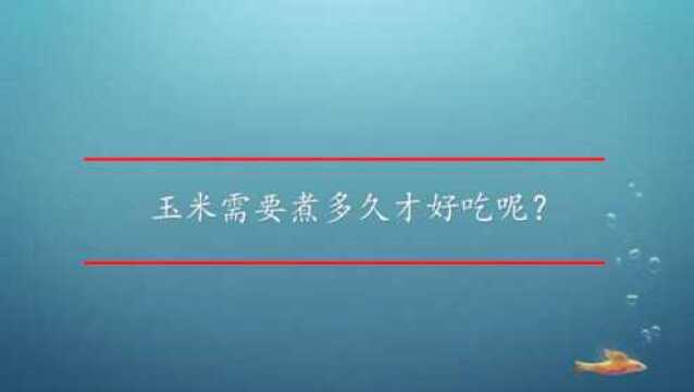 玉米需要煮多久才好吃呢?