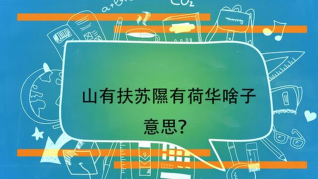 山有扶苏隰有荷华啥子意思?