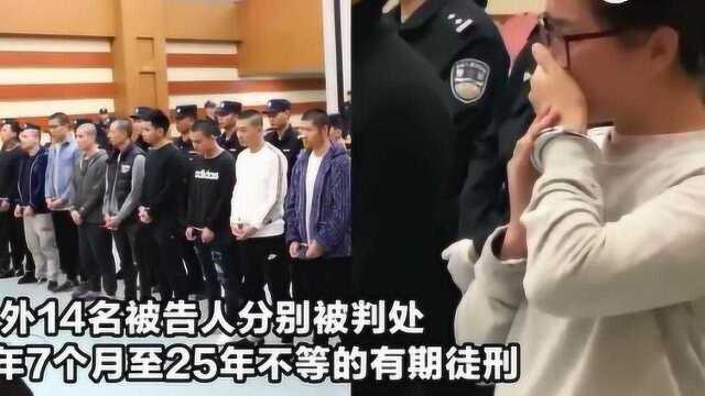 合肥90后“涉黑老大”杨春燕被判25年