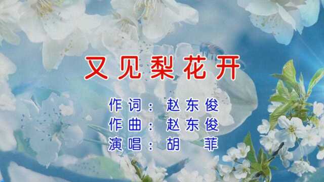 胡菲又见梨花开 词:赵东俊 曲:赵东俊