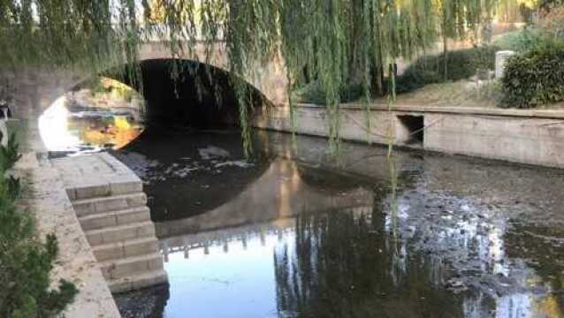 小桥流水树交加,垂柳儿水墨化的风景,可惜那一条见底的河道