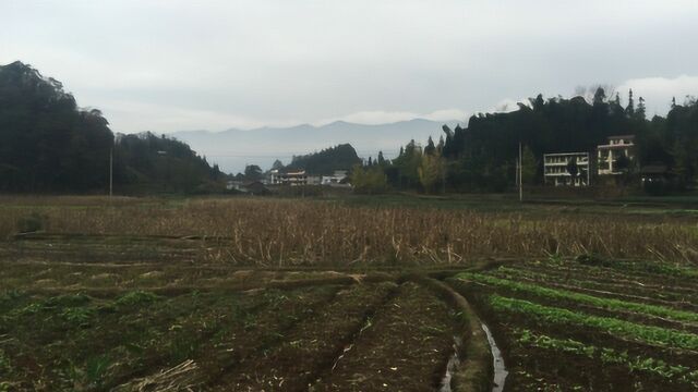 风水培训学校:四川风水宝地出七十二官贵,王君植带弟子现场风水培训视频