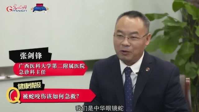 被蛇咬伤该如何急救 这几步骤要牢记