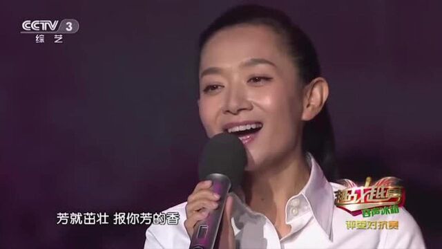 艺人王芳上央视,开口唱歌不同凡响,获全场喝彩声不断