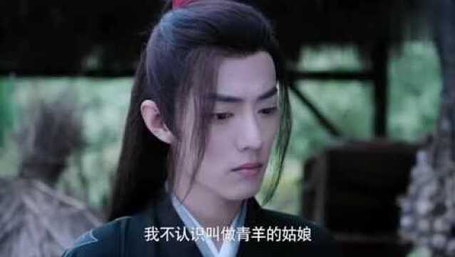 《陈情令》让蓝二哥哥吃十几年醋的罗青羊女士再次上线