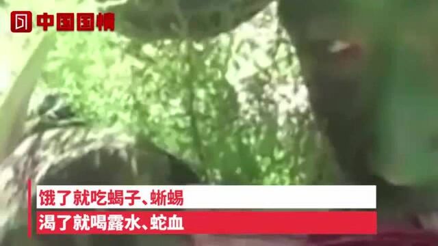 视频曝光!“天狼突击队”野外生存训练:饿了吃蝎子,渴了喝蛇血