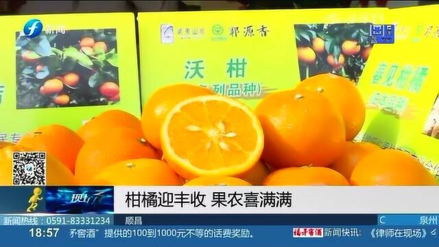 顺昌:柑橘迎丰收 果农喜满满