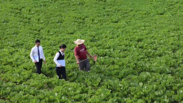 兴宁农商银行改制一周年宣传片