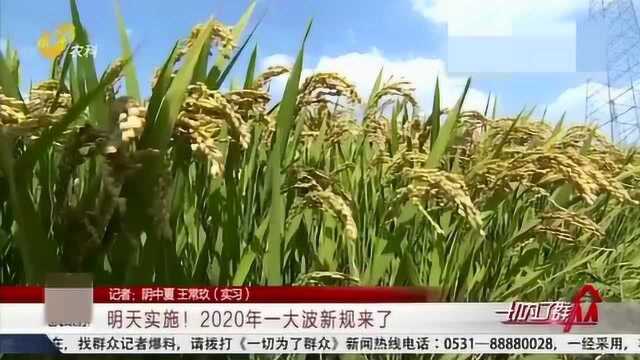 2020年一大波新规来了!涉及医保、出行、减税等 与生活息息相关