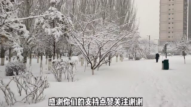 实拍内蒙古包头下雪过后的公园里,很美的雪景一起来看看吧