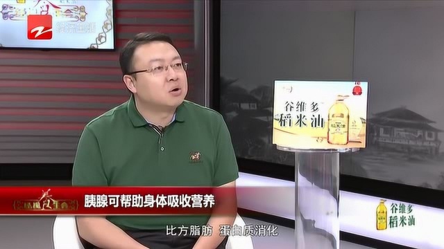 胰腺在身体里的具体作用是什么?在内分泌和外分泌的功能有哪些?