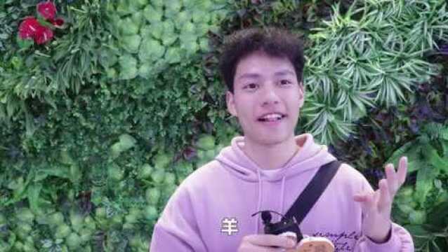 十二生肖都有哪些?小伙自己都数晕了,看下对了几个