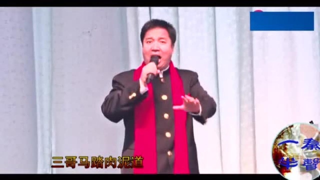 赵阳武演唱 秦腔《辕门斩子》贤爷休把功来表!