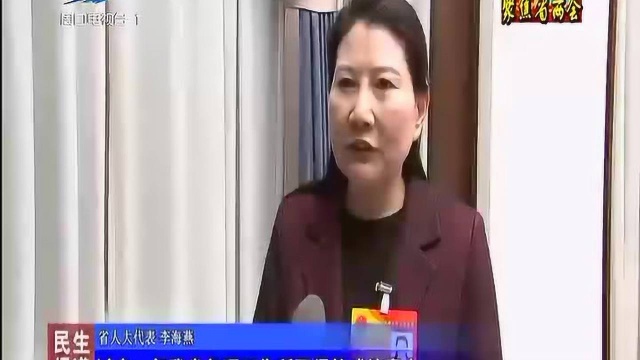 周口市代表热议政府工作报告