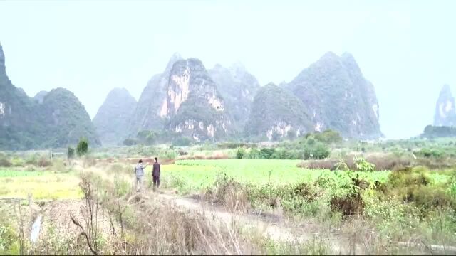 陈港生康纳神场面,两个男人的基情场面!