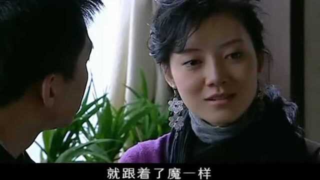 艰难爱情:前妻回家后,总裁再也瞧不上漂亮小蜜,直接和前妻复婚