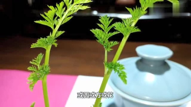 茶养道课堂茶经诵读现代茶人需要了解的古代制茶工具