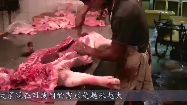 美国人养黑色野猪,还允许添加瘦肉精?质量把控这么松?