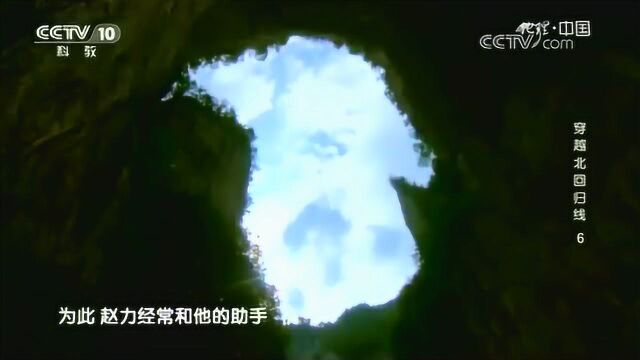 经常深入大瑶山腹地,研究这种巨型昆虫的习性