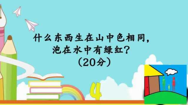 脑力测试:什么东西生在山中色相同泡在水中有绿红你们猜到没