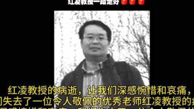 红凌教授因感染新冠病毒医治无效,在武汉逝世,教授一路走好