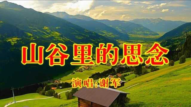 谢军《山谷里的思念》,歌曲好听,走红网络,好听极啦!