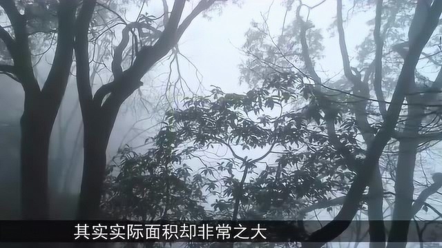 四川现“外星人标记”,大山组成外星图腾,卫星图让人害怕