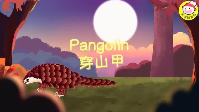 宝宝玩英语xIFAW 野生动物保护公益课 | 穿山甲 Pangolin