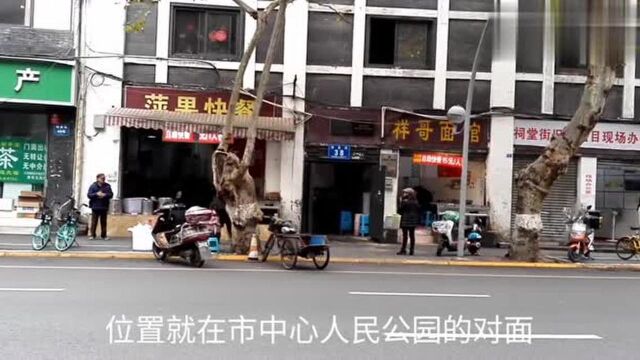 成都市中心传说中的网红饭店,名符其实苍蝇馆子,实地体验才晓得