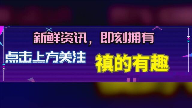 新情况!肖战ins头像怎么变黑了?“227”事件详情始末一览