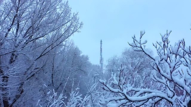 雪韵 辽阳石化